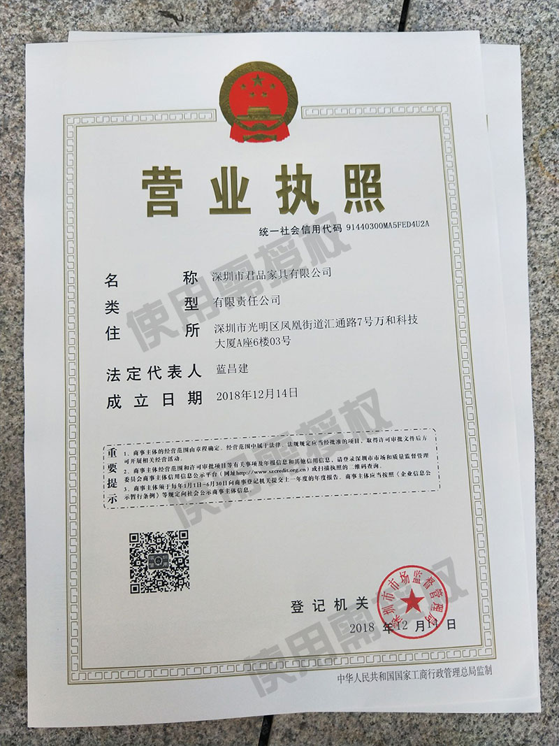 公司营业执照