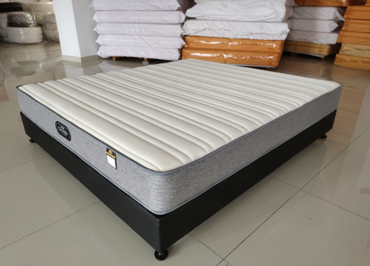 明月		 （弹簧乳胶中软款）		