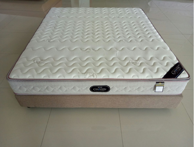 浪琴		 （弹簧乳胶面拆水洗中软款）		